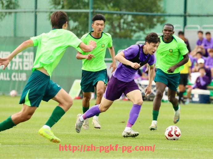 pg电子在线官网-法甲联赛荣誉榜大全:各项奖杯归属与俱乐部历史地位整理