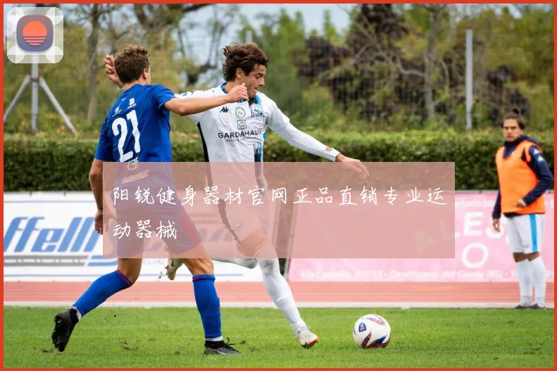 阳锐健身器材官网正品直销专业运动器械