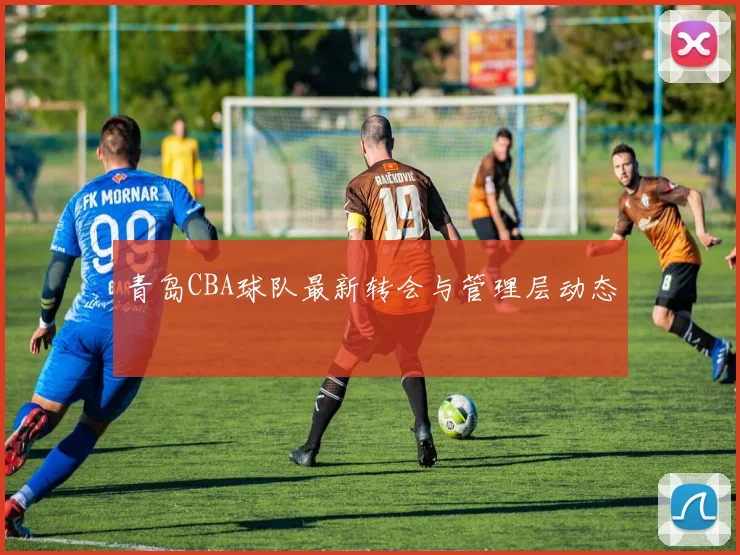 青岛CBA球队最新转会与管理层动态