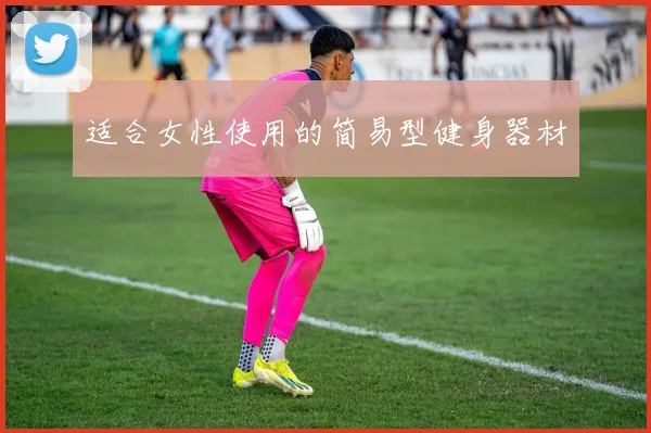 适合女性使用的简易型健身器材