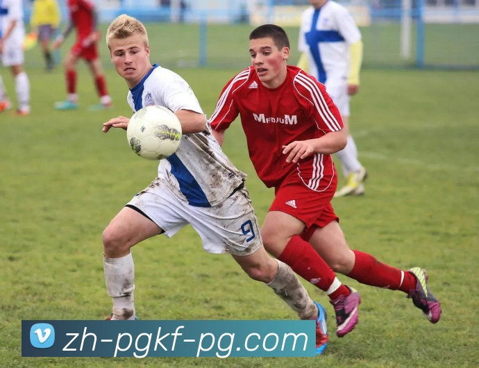 辅助工具 辅助工具